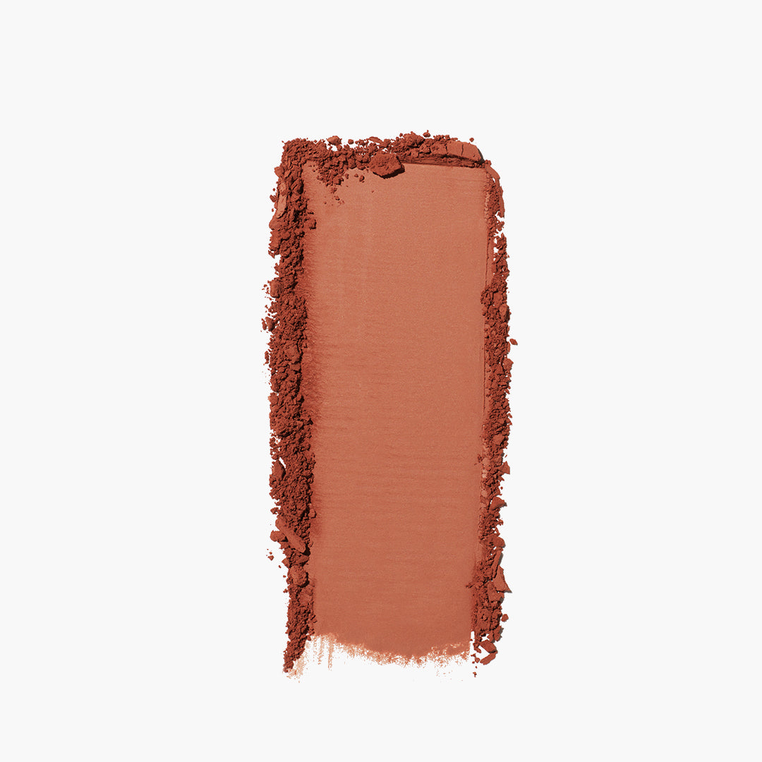 The Bronzer - 图片 25