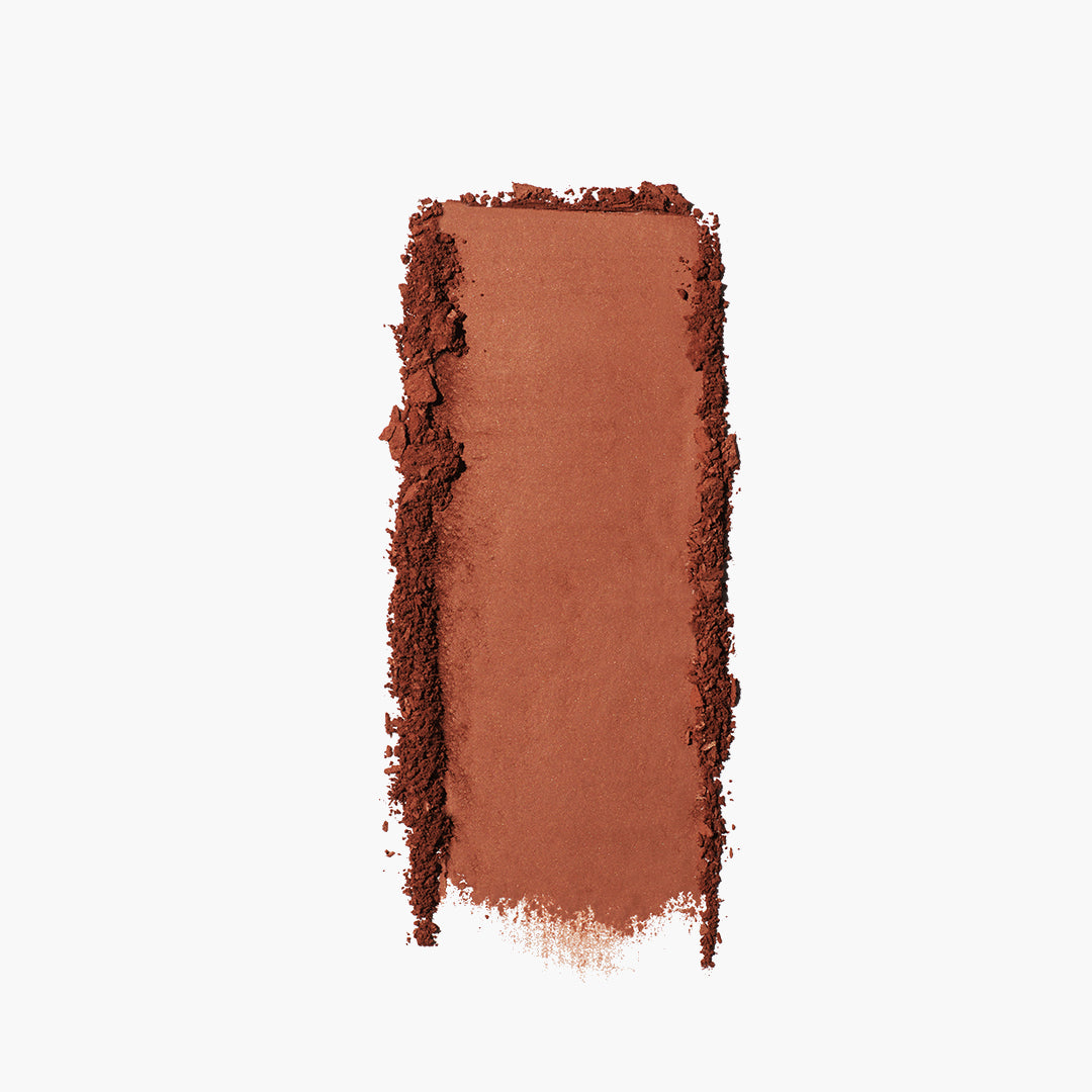 The Bronzer - 图片 29